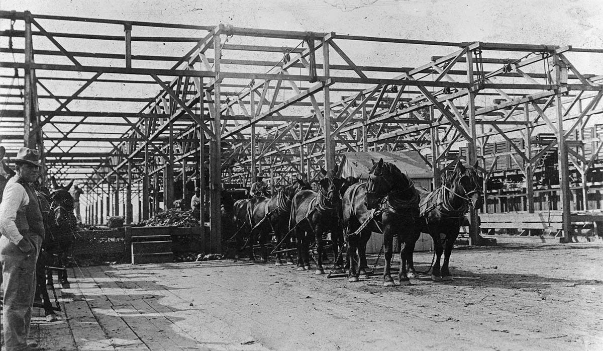 FOOD on food section