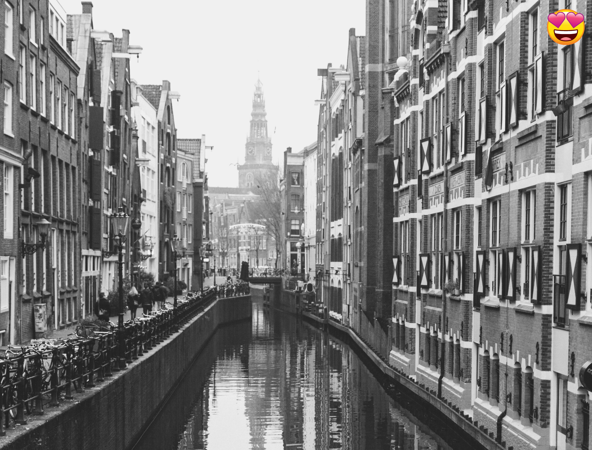 12 things we love about the Netherlands